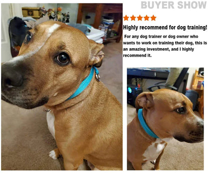 Durable Reflective Soft P Dog Collar