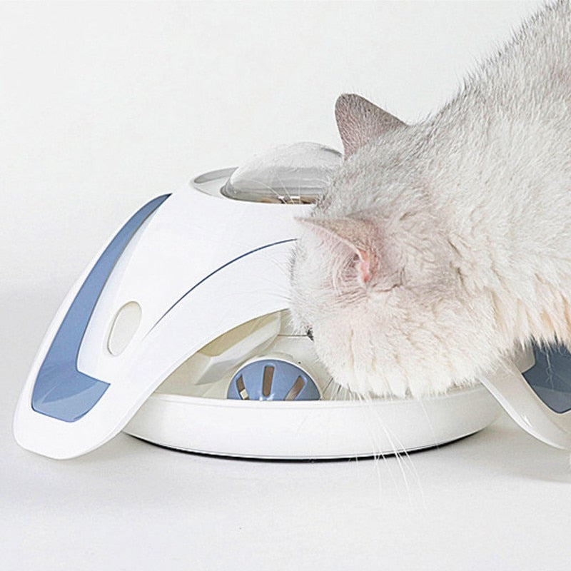 Interactive Pet Cat Fun Bowl Feeder