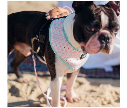 Fashion Dog Harness Vests
