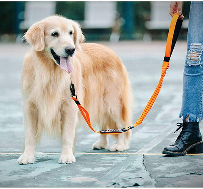 Multifunctional Heavy Duty Bungee Dog Leash