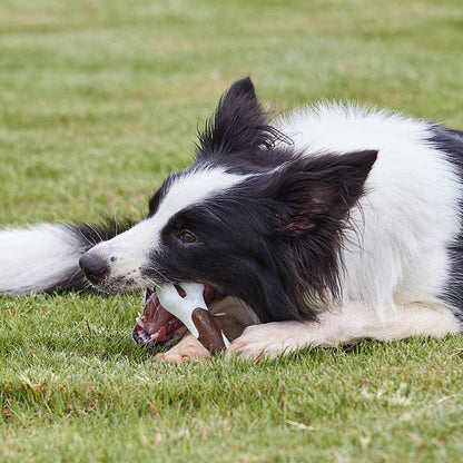 Durable Dog Bone Dental Care Pet Toy