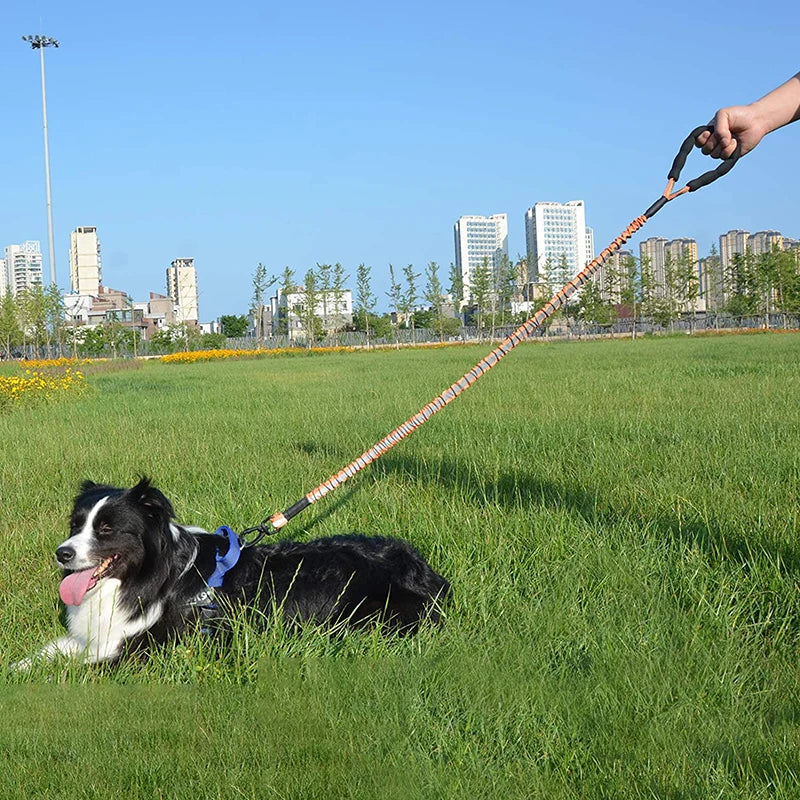 Strong Reflective Extendable Dog Lead
