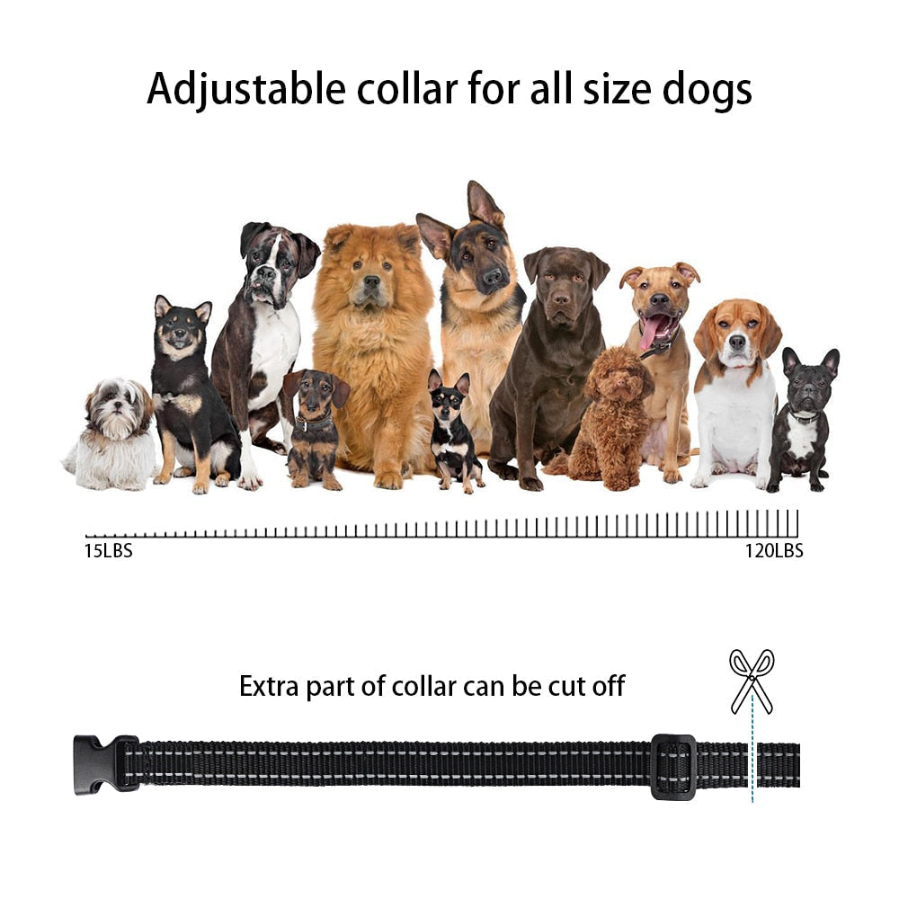 1000ft Remote Shock Vibration Dogs Collar