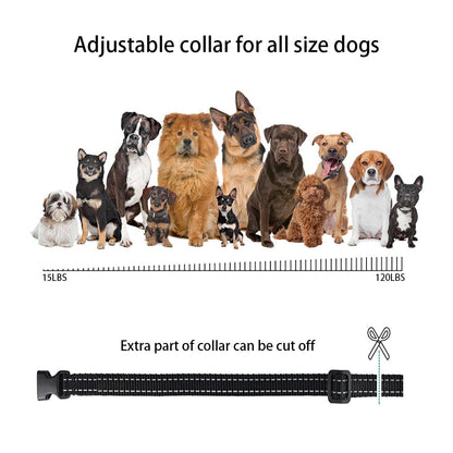 1000ft Remote Shock Vibration Dogs Collar