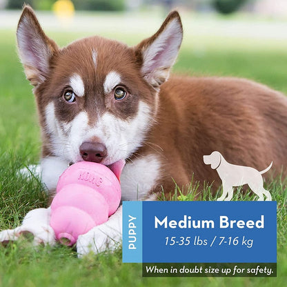 Puppy Dog Fun Chew Toy