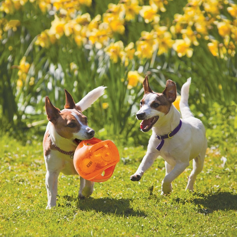 Jumbler Ball Dog Toy