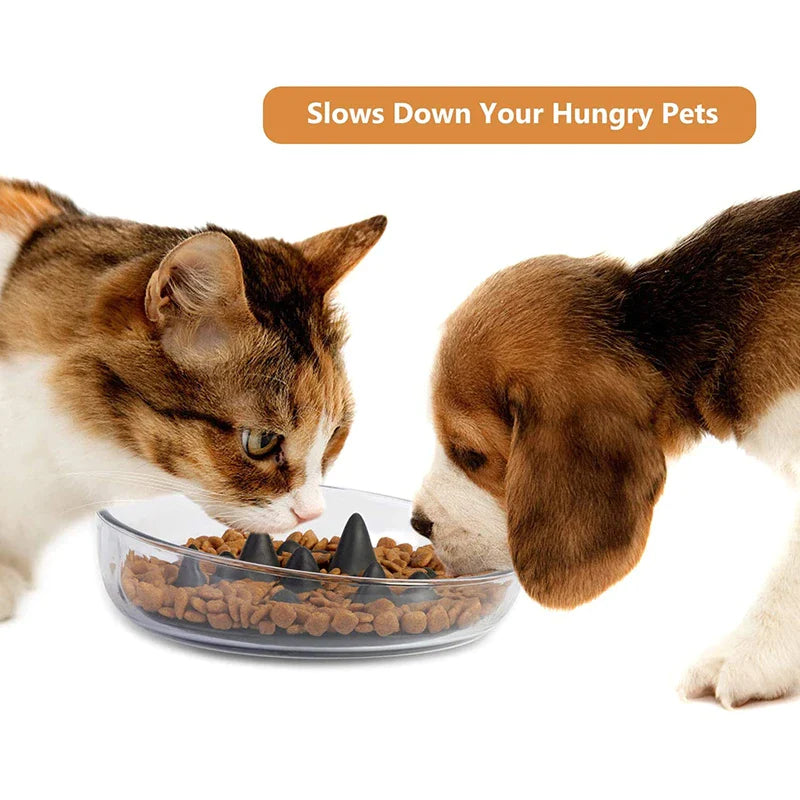 2 In 1 Silicone Non-slip Dog Bowl