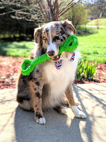 Durable Interactive Dog Bone Chew Toy