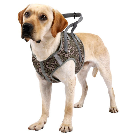High Quality Explosion-Proof Pet Harness