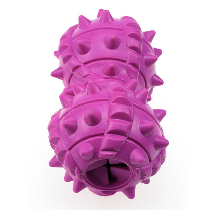 Interactive Barbell Dog Chew Toy