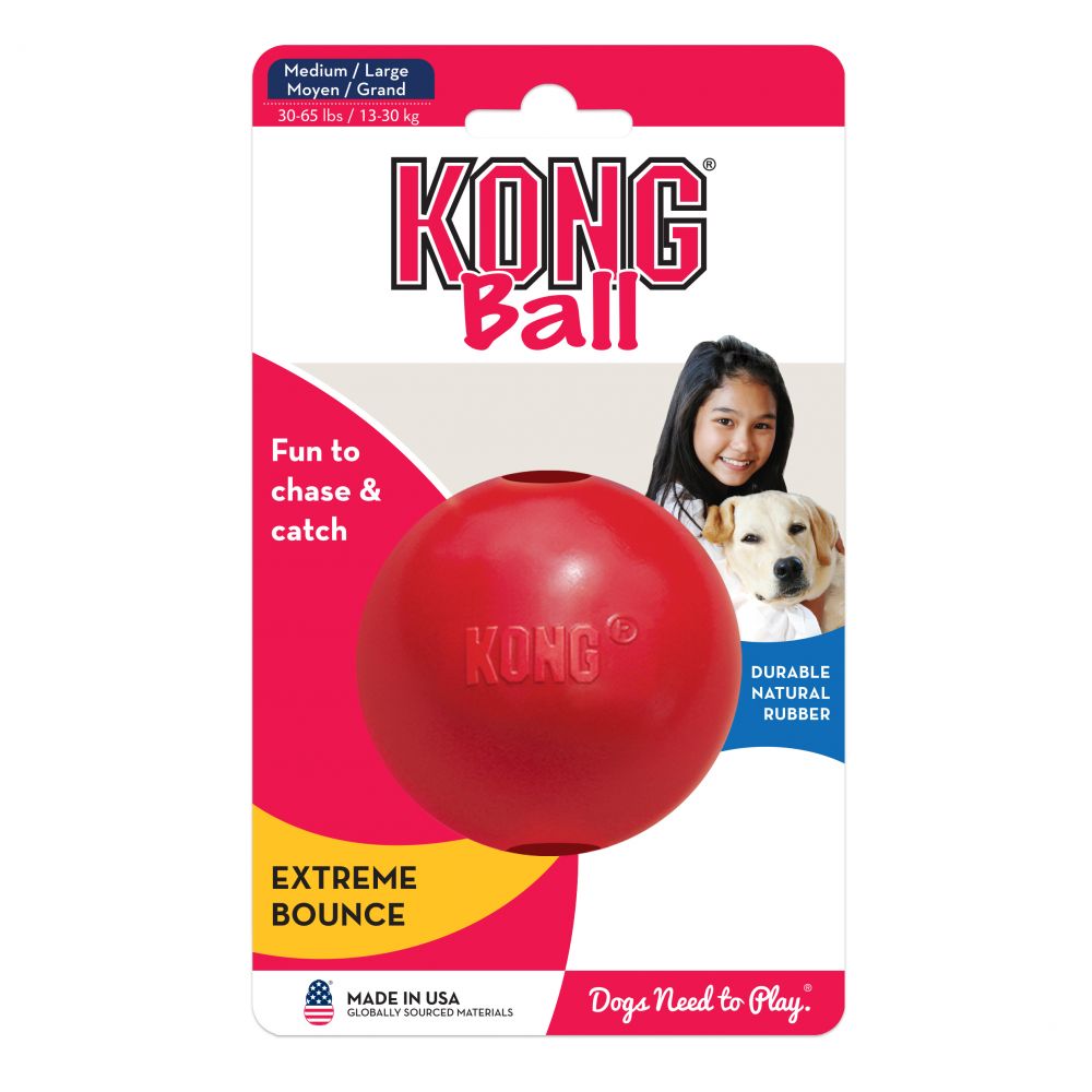 Fun Ball Dog Toy