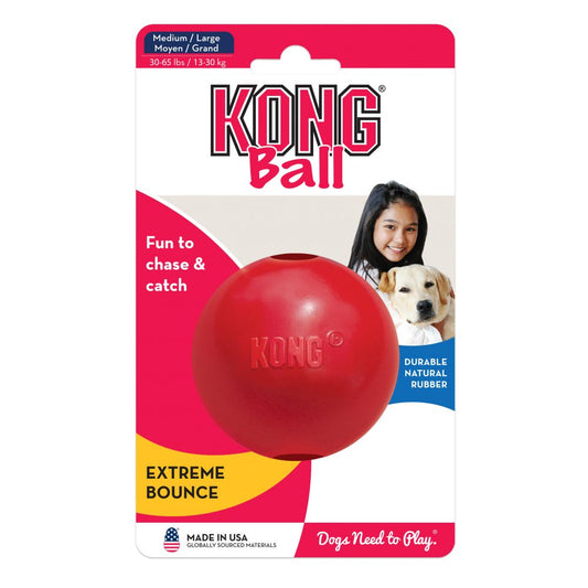 Fun Ball Dog Toy