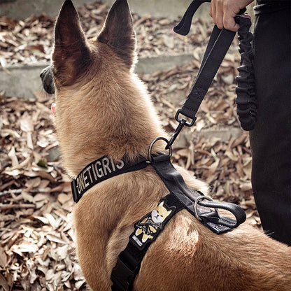 GOLIATH K9 Dog Training Harness