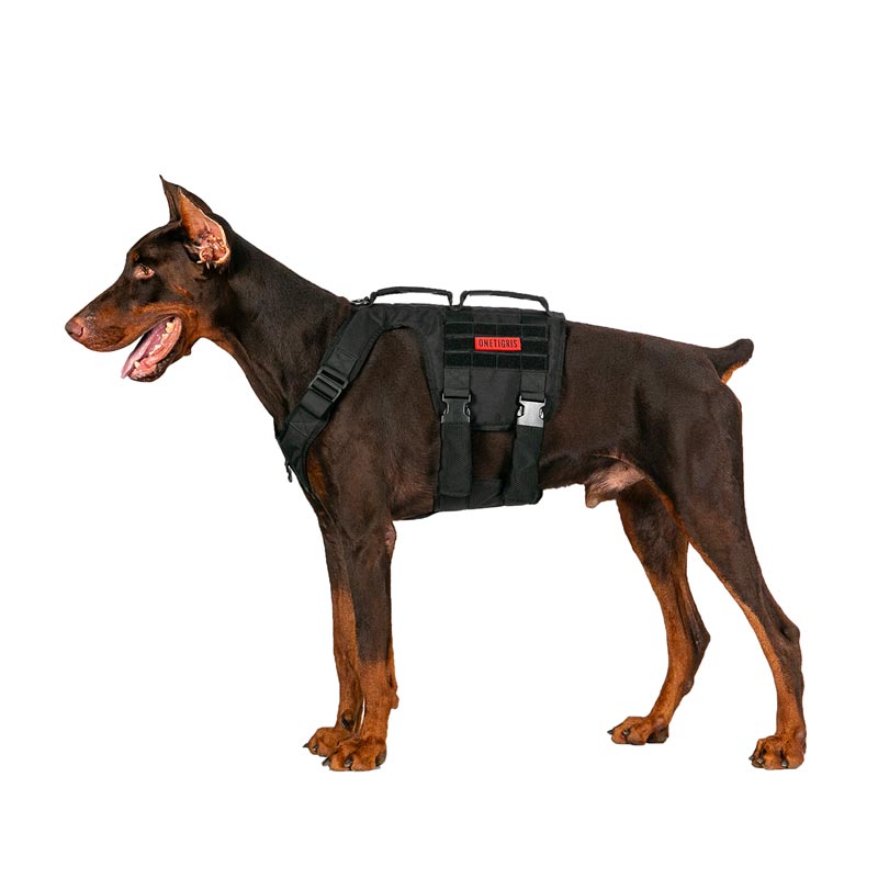 GLADIATOR Tactical Support Dog Harness