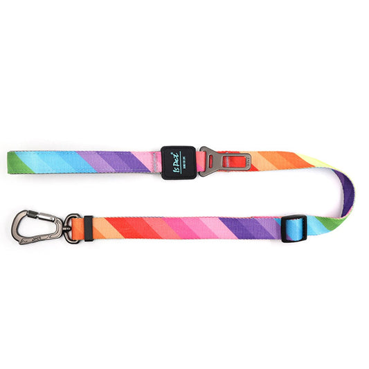 2 In 1 Pet Dog Walking Leash