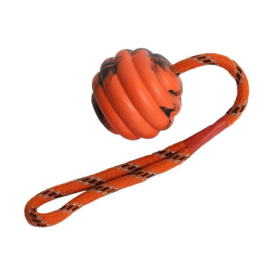 Interactive Puzzle Molar Dog Toys