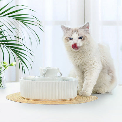 Portable Ceramic Pet Drinking Fountain