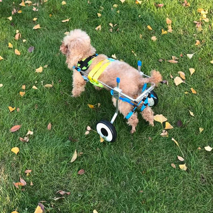 Nordic 4 Wheel Aluminum Dog Wheelchair