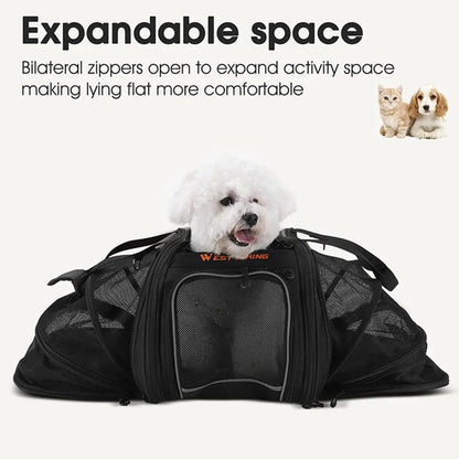 Universal Bicycle Pet Rear Seat Bag