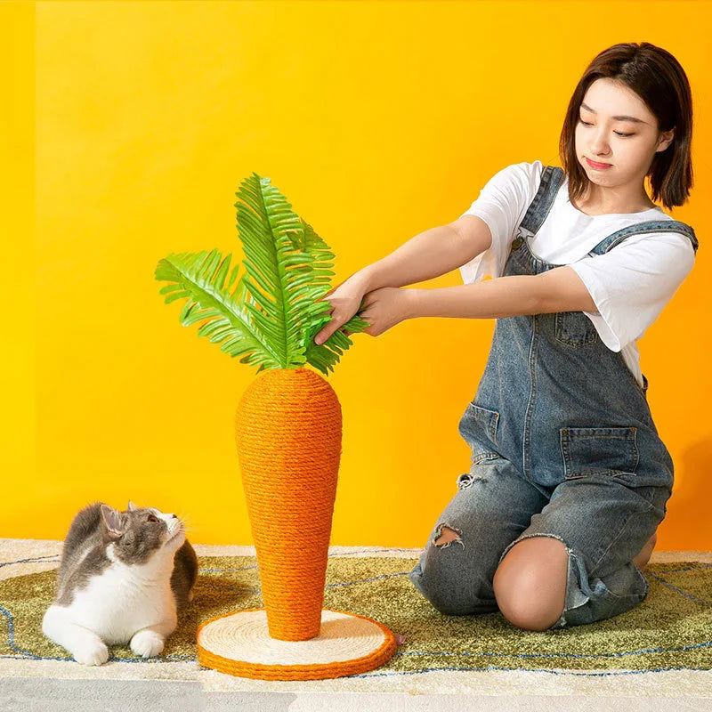 Cute Carrot Cat Climbing Post