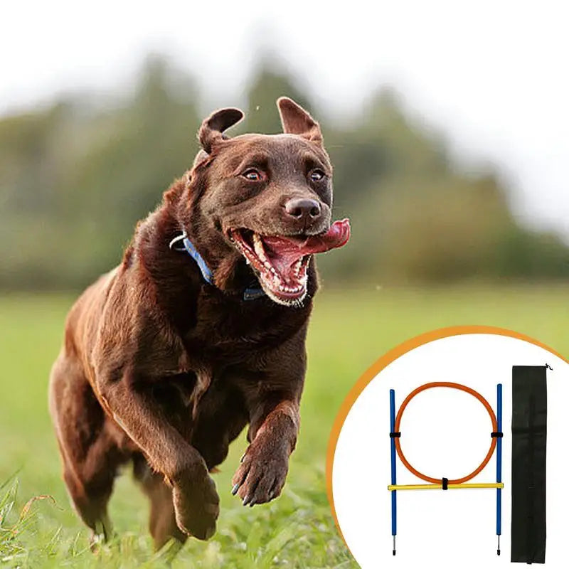 Outdoor Portable Dog Agility Jumping Pole