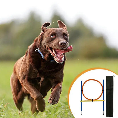Outdoor Portable Dog Agility Jumping Pole