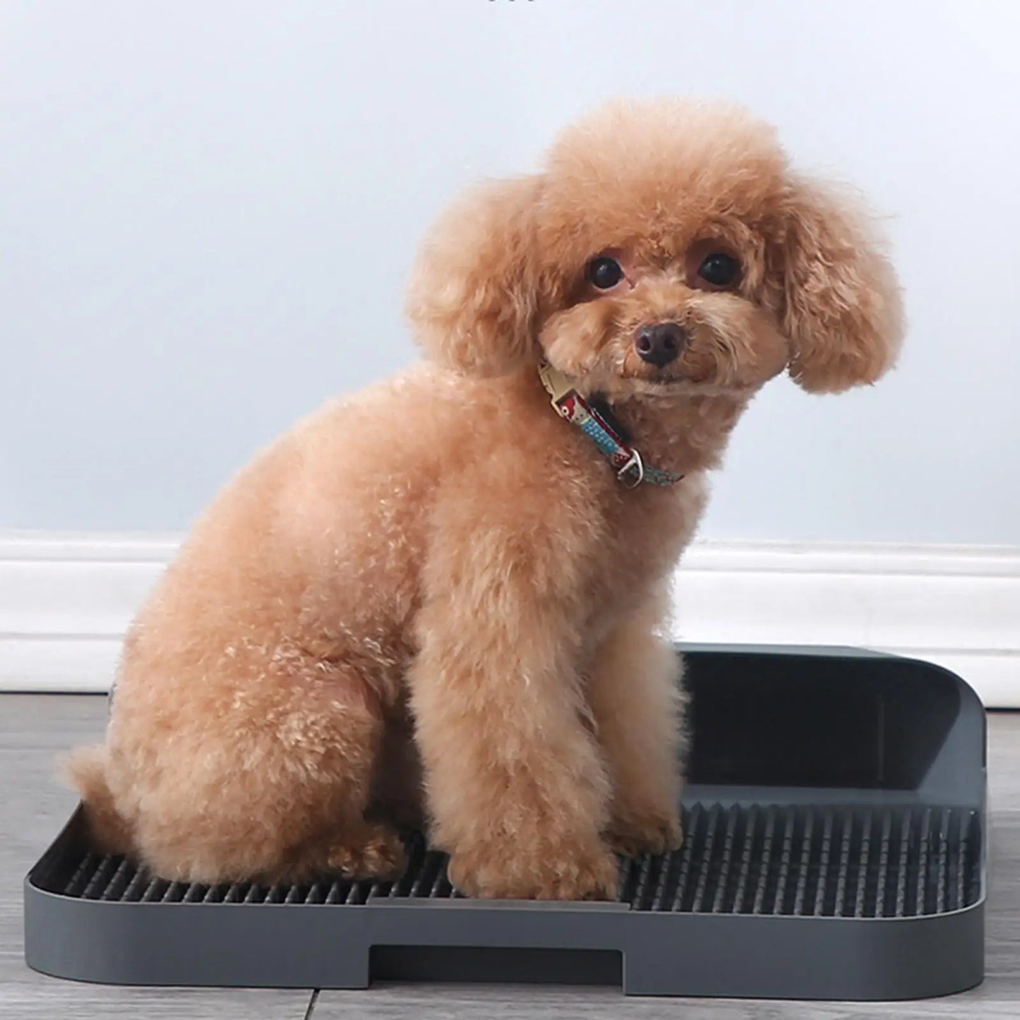 Quality Dog Toilet Potty Trainer Holder
