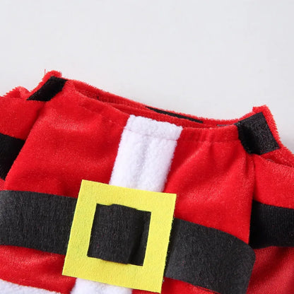 Funny Santa Dog Costume