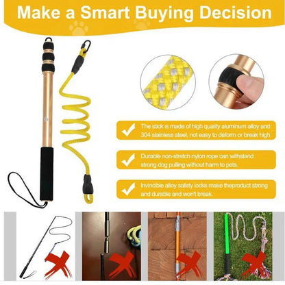Extendable Dog Teaser Wand Toy