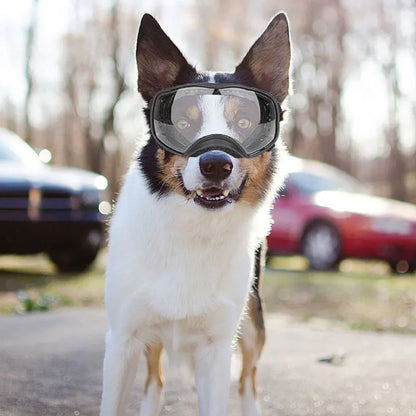 Windproof Uv Protection Dog Goggles