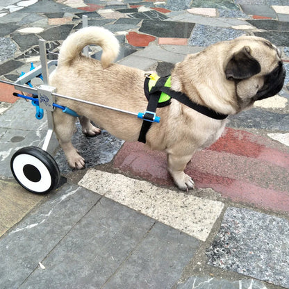 Two Wheels Pet Assistance Wheelchair
