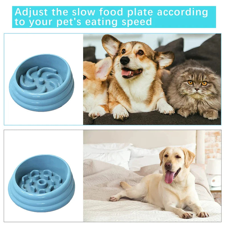 Diet Control Dog Maze Bowl