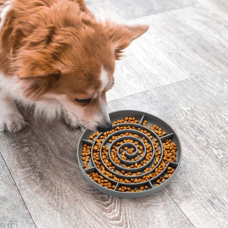 Raised Ridges Soft Silicone Dog Bowl