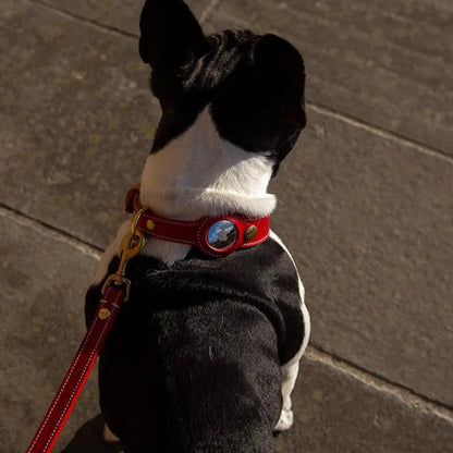 Luxury Genuine Leather Pet AirTag Collar