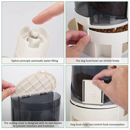 2 In 1 Eco-friendly Large Capacity Dog Bowl