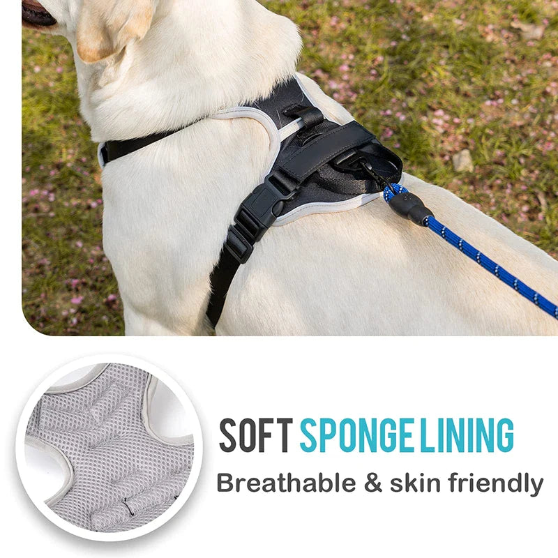 Easy Control Handle No Pull Dog Harness