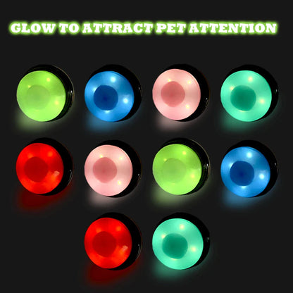 LED Dog Recordable Voice Button