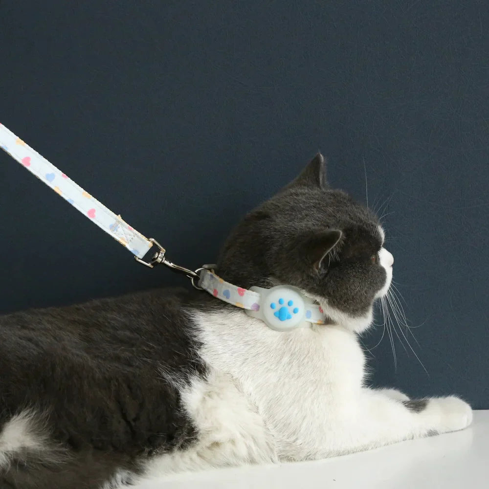 Silicone Cute Pet AirTag Collar & Lead