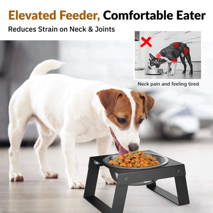 Stainless Steel Elevated Dog Bowls