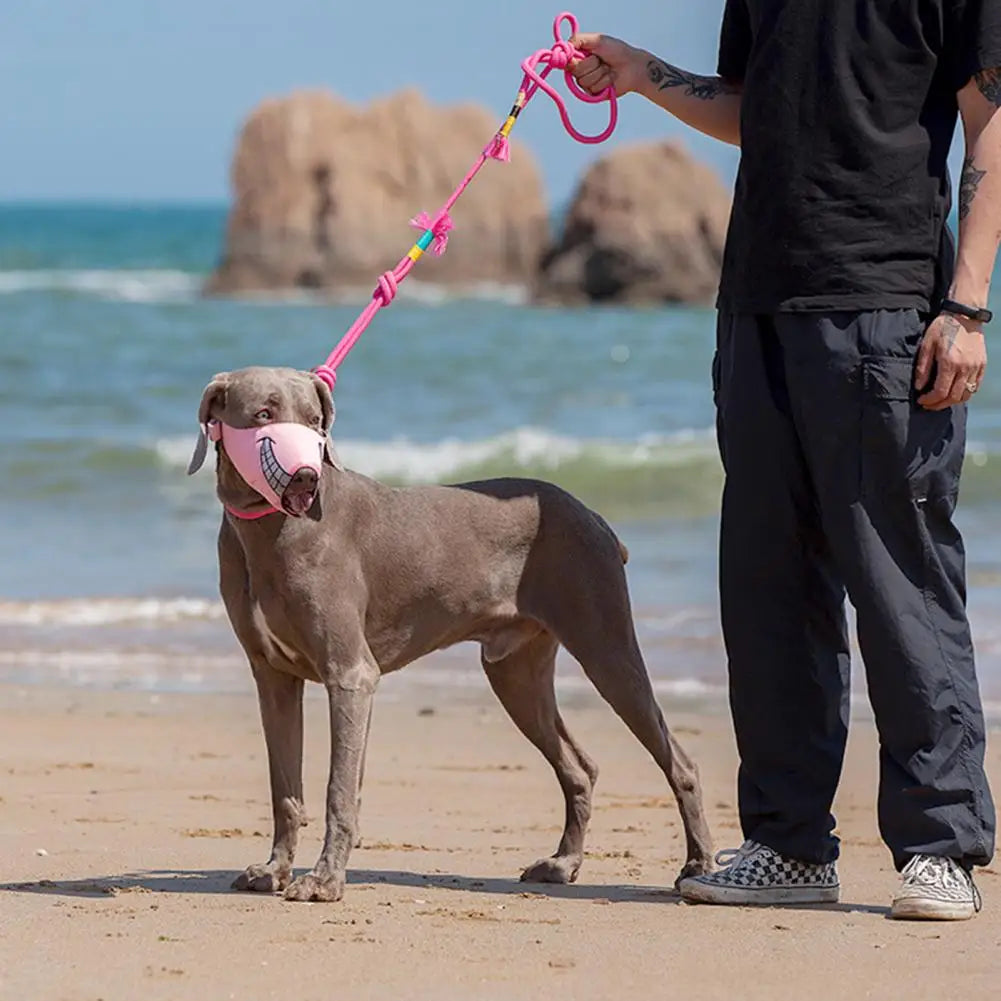 Breathable Mesh Funny Dog Muzzle