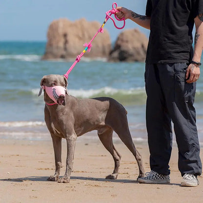 Breathable Mesh Funny Dog Muzzle