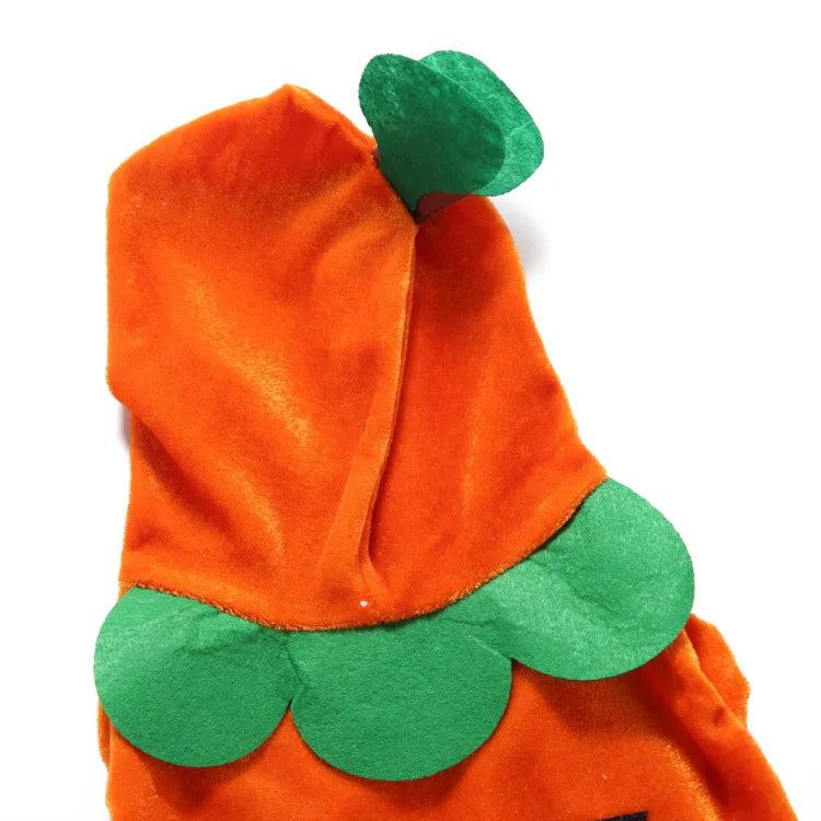 Funny Orange Pumpkin Dog Costume