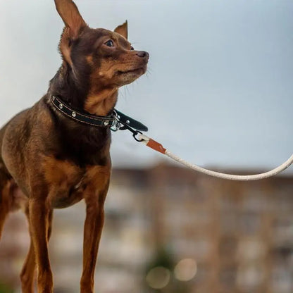 Heavy Duty Leather Dog Training Lead