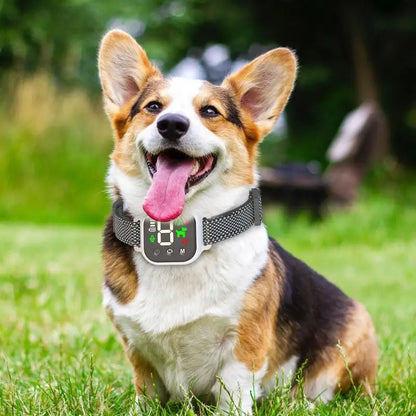 Digital Display USB Anti Barking Dog Collar