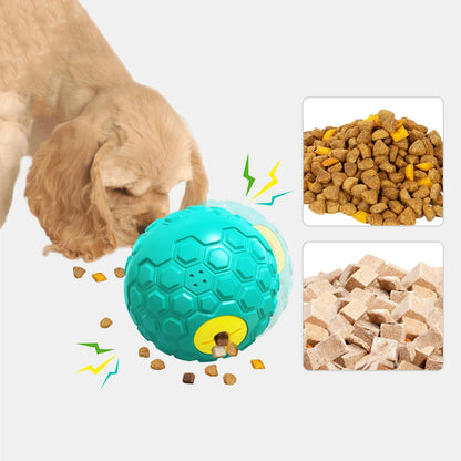 Tough Training Dog Ball Toys