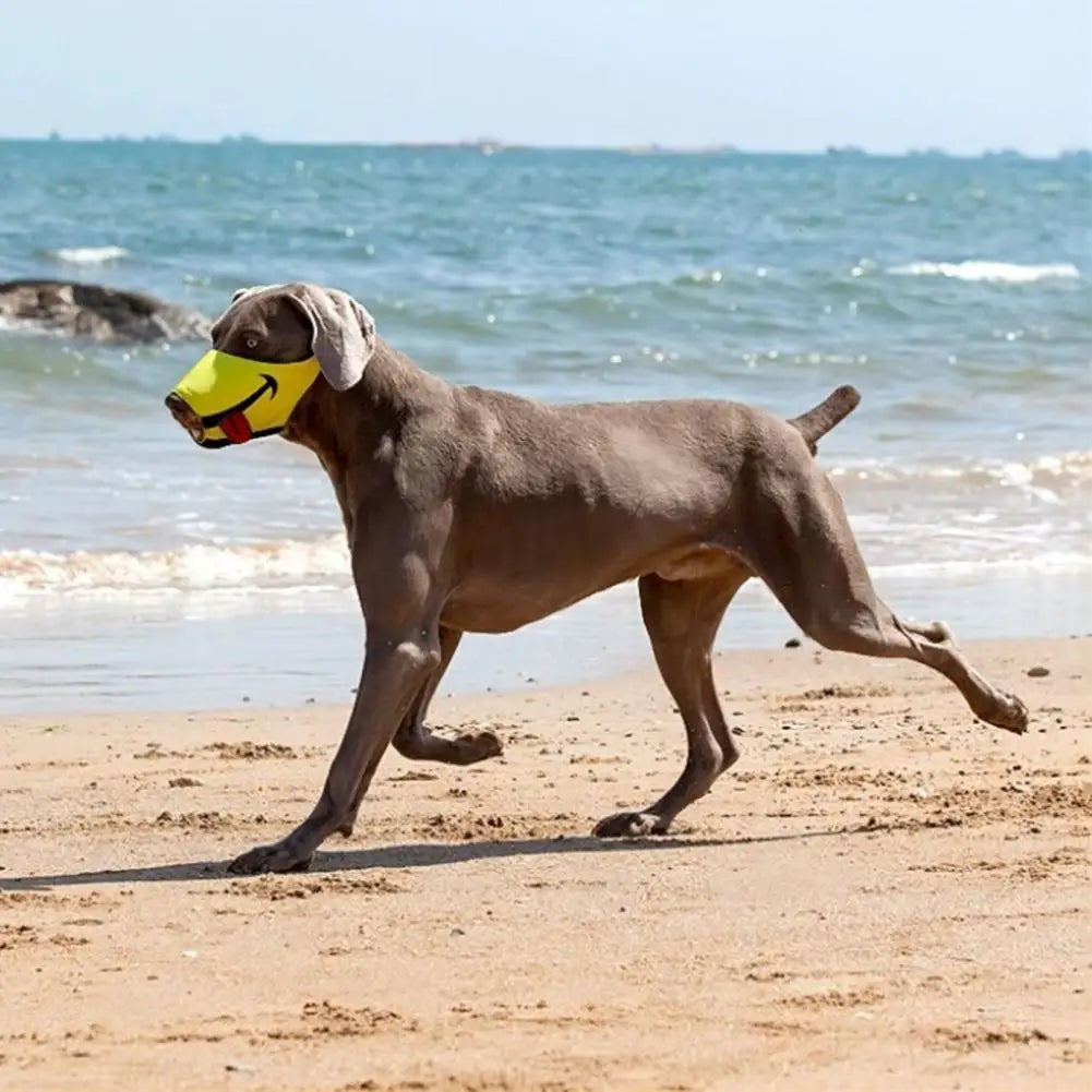 Breathable Mesh Funny Dog Muzzle