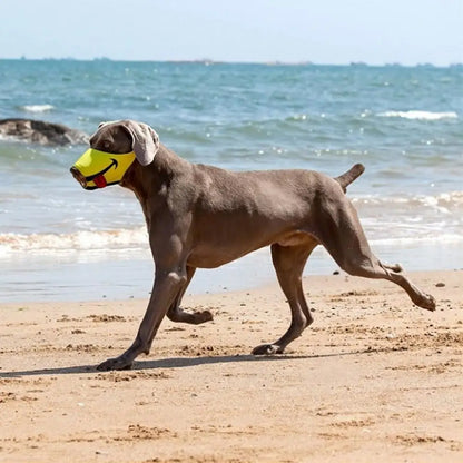 Breathable Mesh Funny Dog Muzzle