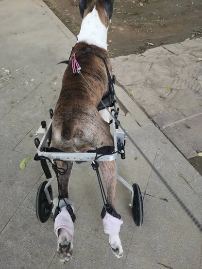 Dog Rear Limb Rehabilitation Wheelchair