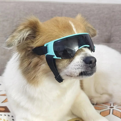 Windproof Anti-UV Dog Sunglasses