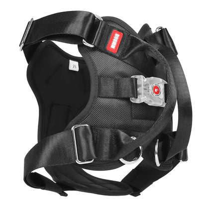 Explosion Proof Big Dog Harness With Led Light